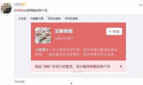 西瓜条八卦爆料视频,揭秘热门视频背后的惊人真相 第1张 西瓜条八卦爆料视频,揭秘热门视频背后的惊人真相 第1张